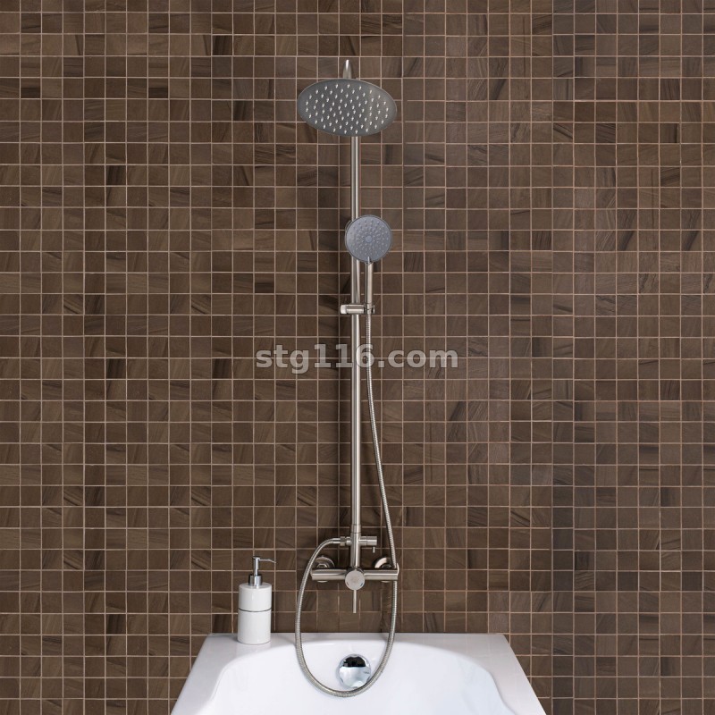 SUS124-003DK-2 Смеситель для душа(нержавеющая сталь) душевая стойка